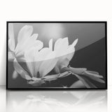 Framed wall art featuring a botanical magnolia design with black accents, showcasing delicate white flowers against a sleek black background, perfect for modern decor.