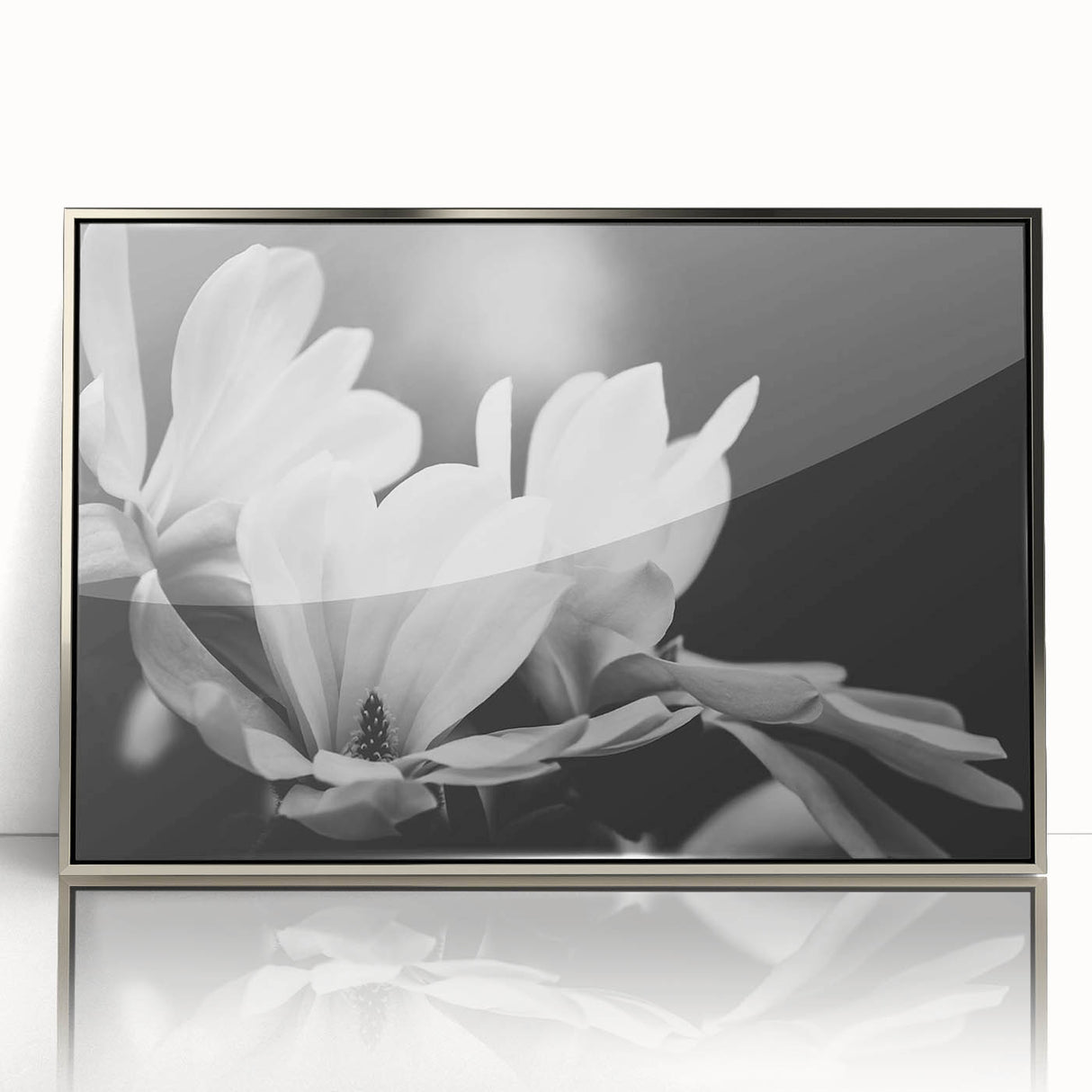 Framed acrylic wall art featuring a botanical magnolia design with a silver frame, showcasing vibrant floral details and elegant aesthetics for home decor.