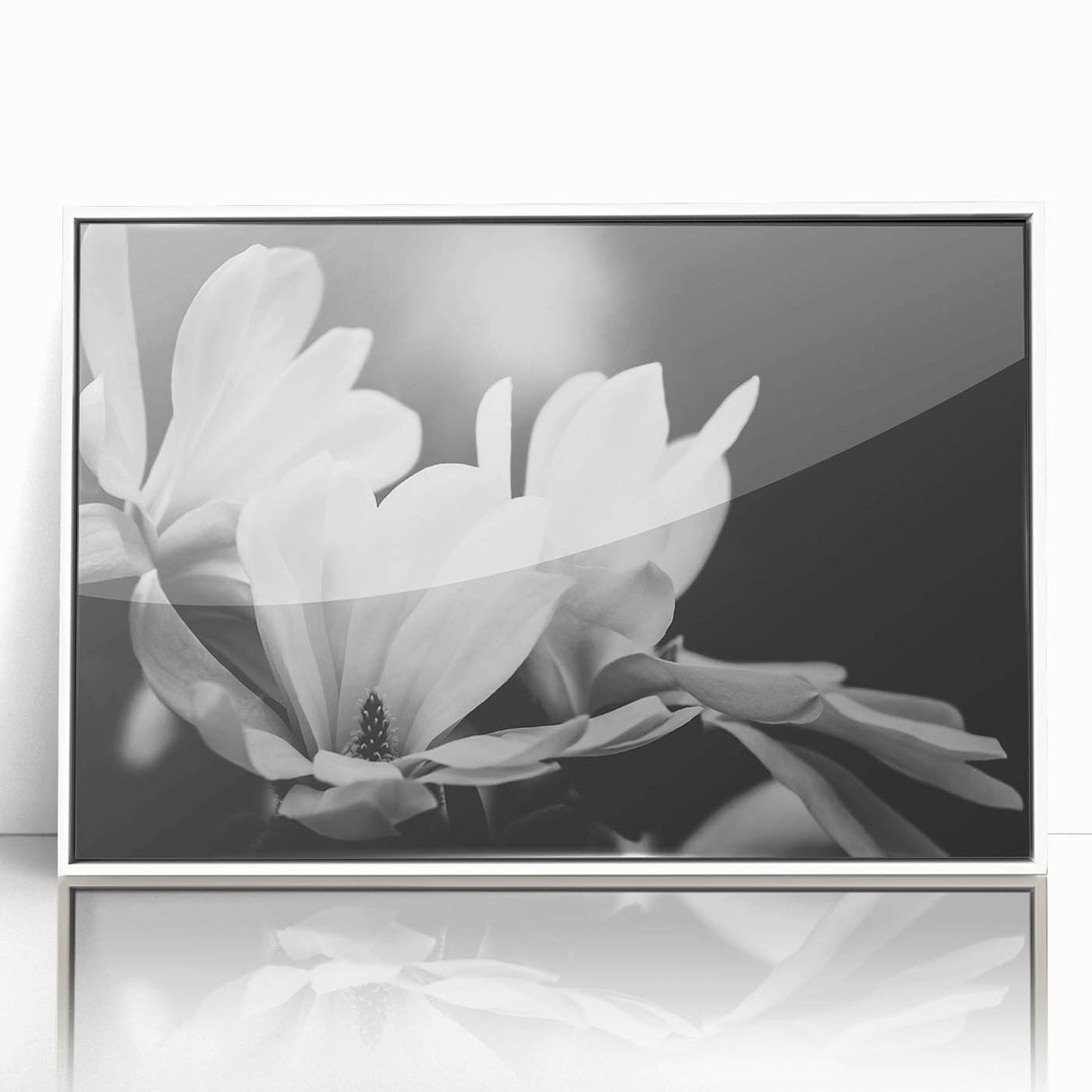 Framed acrylic wall art featuring a botanical magnolia design, set against a white background, showcasing intricate floral details and vibrant colors. Perfect for home decor.