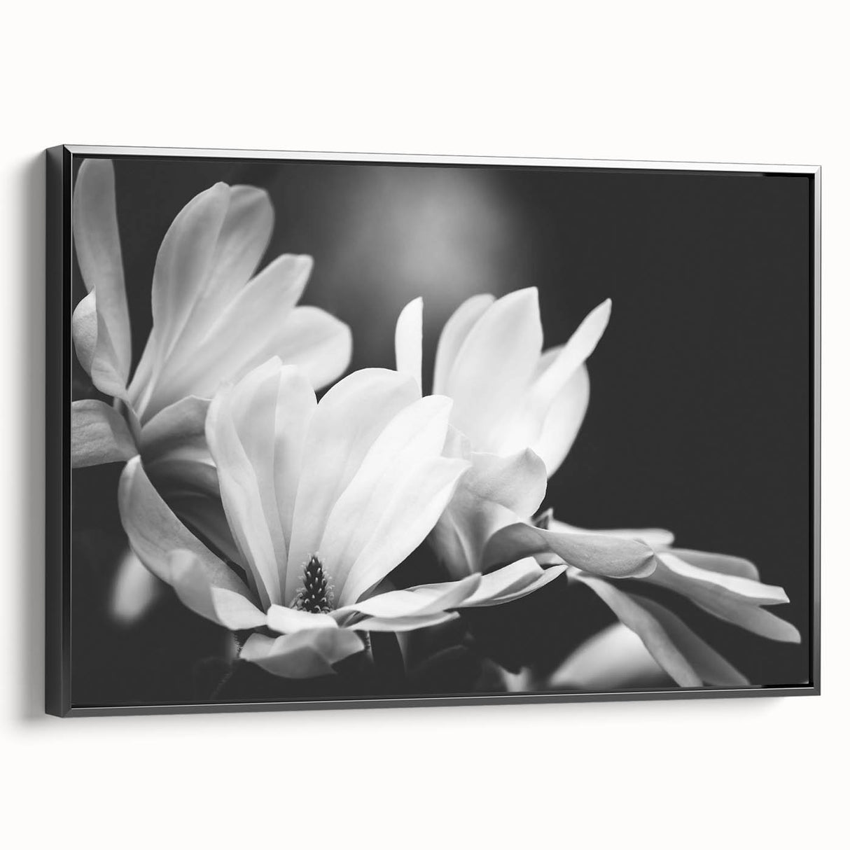 Framed canvas wall art showcasing a botanical magnolia design, featuring intricate floral details in soft pastel colors, set against a sleek black frame.