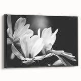 Framed canvas wall art showcasing a botanical magnolia design, featuring intricate floral details in soft pastel colors, set against a sleek black frame.