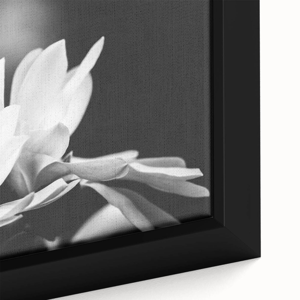 Close-up of a framed botanical wall art piece showcasing a magnolia design with vibrant colors and intricate details, perfect for home decor enthusiasts.