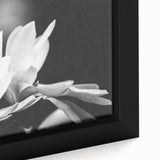 Close-up of a framed botanical wall art piece showcasing a magnolia design with vibrant colors and intricate details, perfect for home decor enthusiasts.