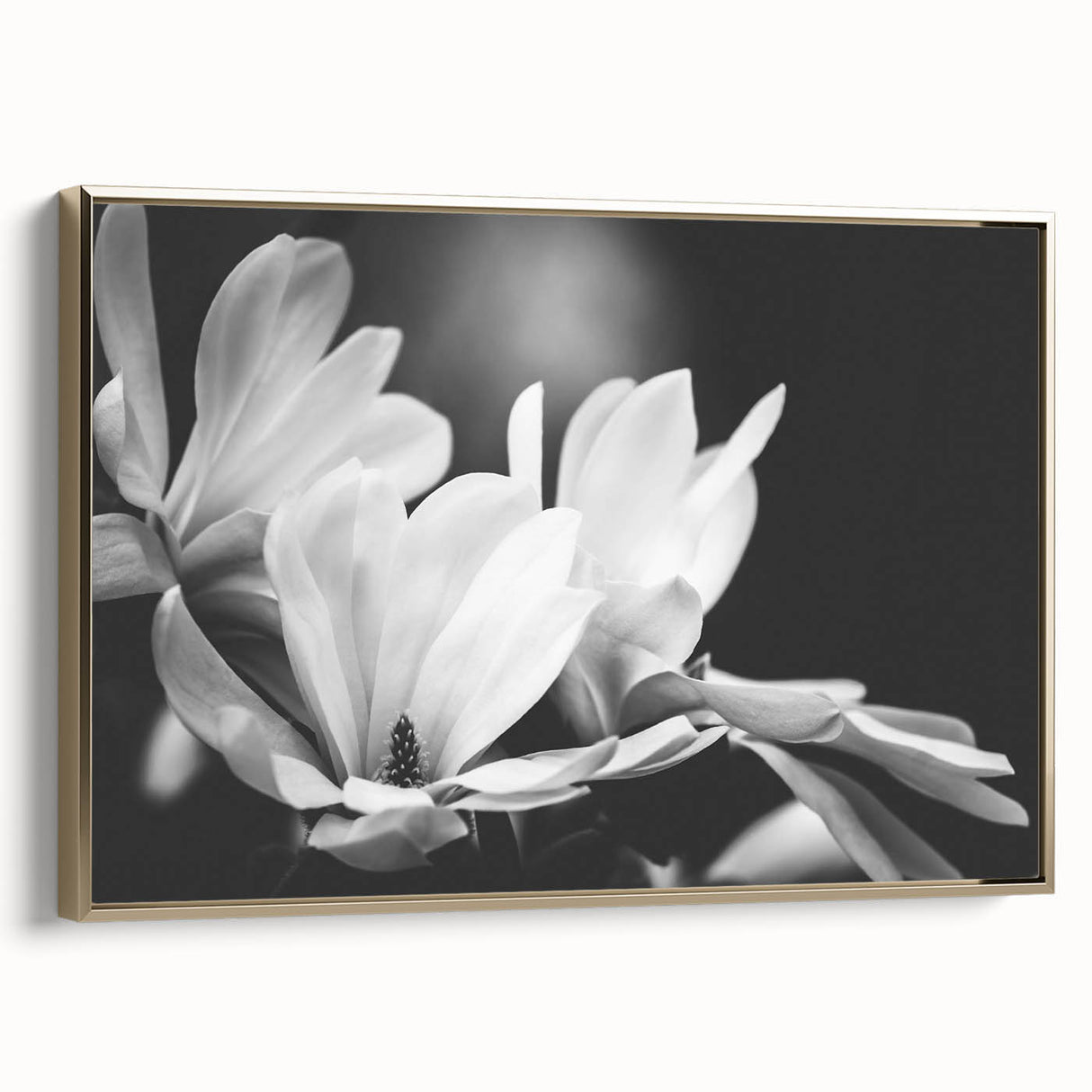 Framed canvas featuring a botanical magnolia design in gold tones, showcasing elegant floral details. Ideal for home decor with a touch of sophistication.