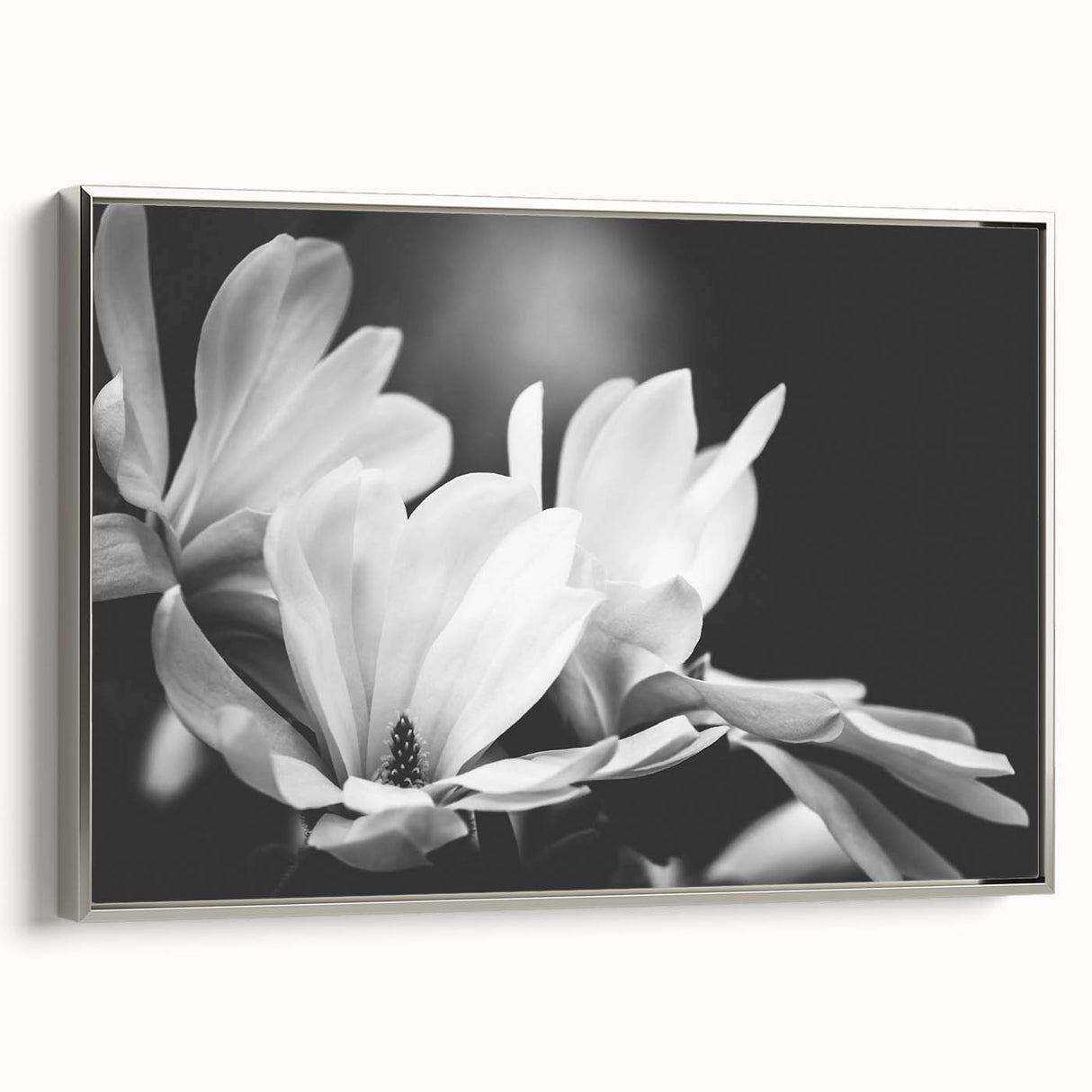 Framed botanical wall art featuring a magnolia design in soft pastel colors, elegantly displayed with a silver frame, showcasing a side view that highlights its modern aesthetics.