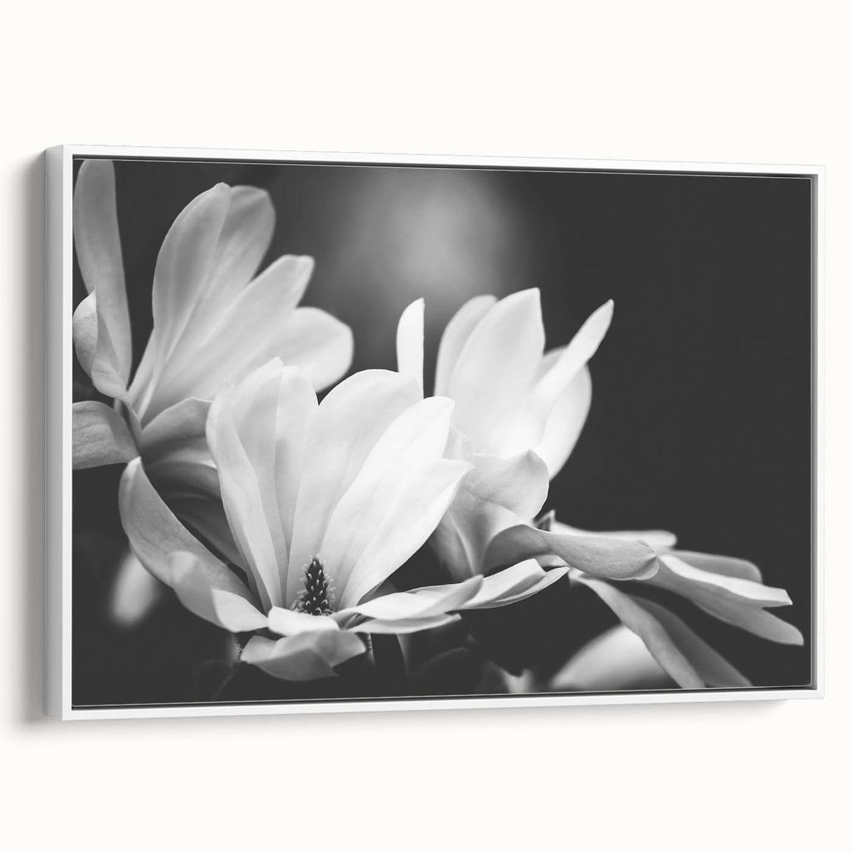 Framed canvas wall art featuring a botanical magnolia design in soft white tones, showcasing intricate floral details, ideal for enhancing modern home decor.