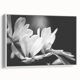 Framed canvas wall art featuring a botanical magnolia design in soft white tones, showcasing intricate floral details, ideal for enhancing modern home decor.