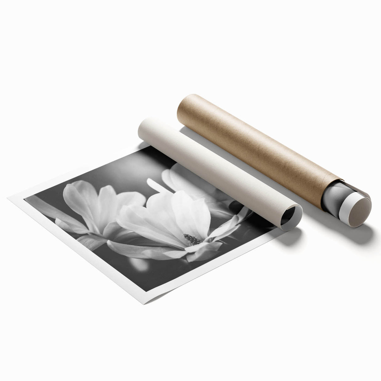 Elegant botanical wall art print showcasing a magnolia design in soft pink and white hues, rolled and ready for display, perfect for home decor enthusiasts.