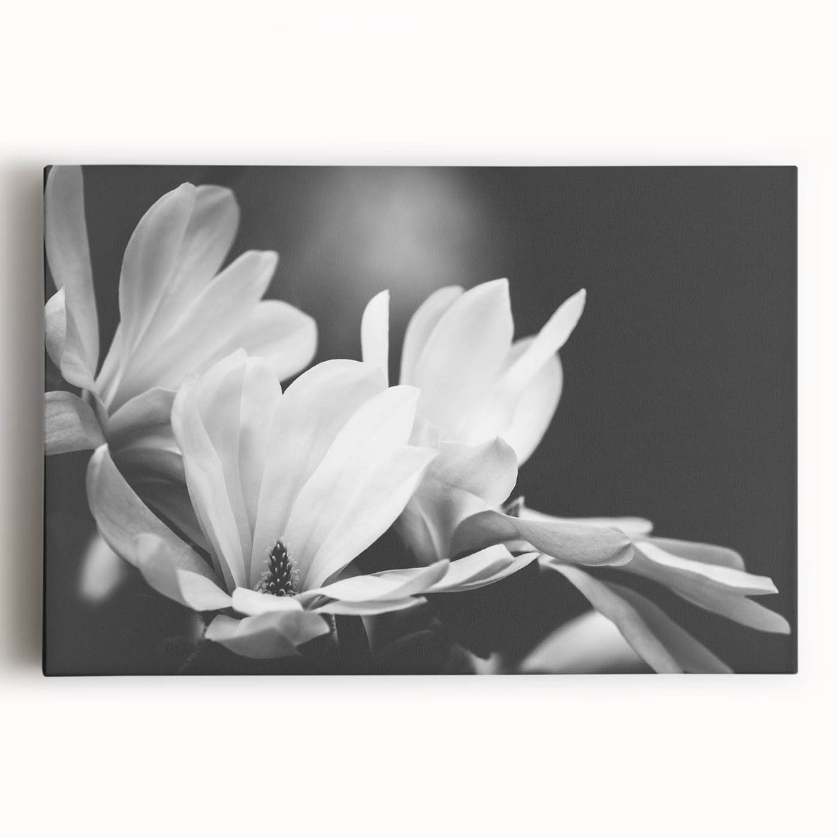 Stretched canvas artwork showcasing a vibrant botanical design of magnolia flowers in soft pink and white hues, framed elegantly for wall display.