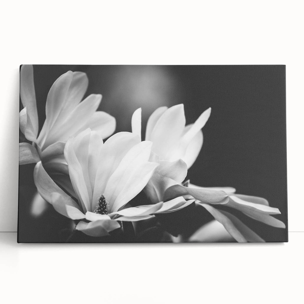 Stretched canvas wall art featuring a vibrant botanical magnolia design, showcasing soft pink and white flowers against a textured background, perfect for home decor.