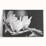 Stretched canvas wall art featuring a vibrant botanical magnolia design, showcasing soft pink and white flowers against a textured background, perfect for home decor.