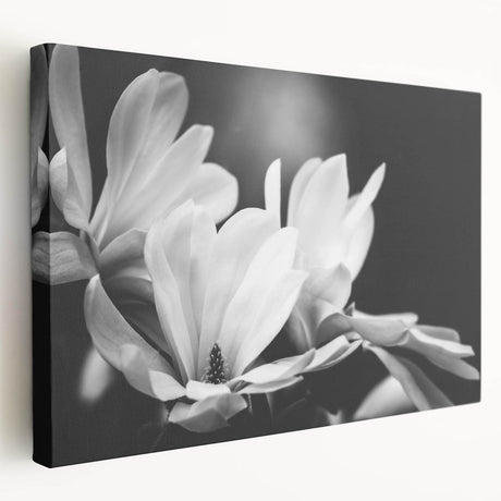Stretched canvas wall art featuring a botanical design of magnolia flowers, showcasing vibrant colors and intricate details, perfect for home decor enhancement.