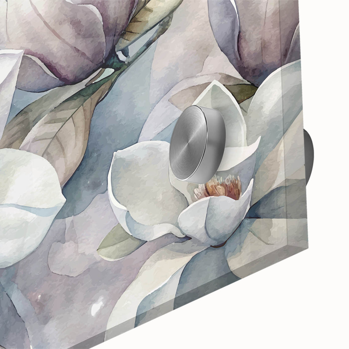 Close-up of a botanical wall art piece showcasing a delicate magnolia flower design, printed on acrylic glass with vibrant colors and intricate details, perfect for home décor.