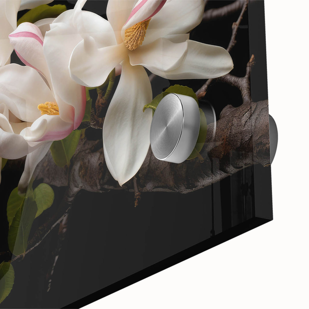 Close-up of a botanical wall art design featuring vibrant magnolia flowers printed on acrylic glass, showcasing intricate details and rich colors, perfect for home decor.