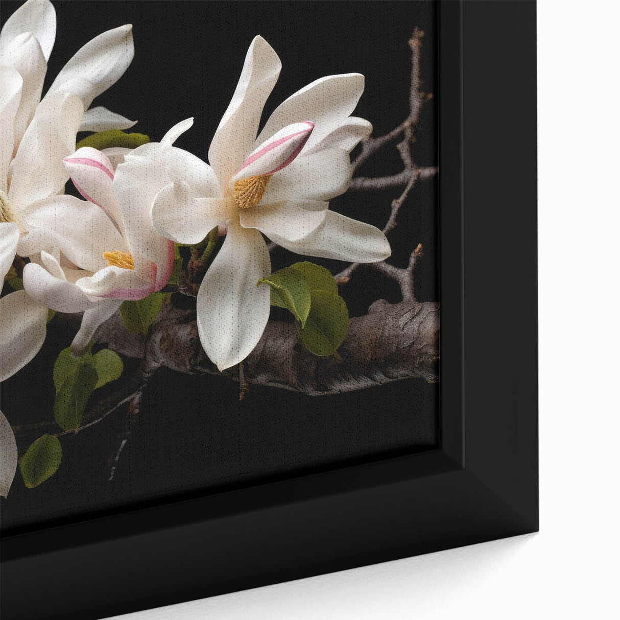 Close-up of a framed canvas wall art featuring a botanical magnolia design with delicate pink and white flowers, set against a muted background, ideal for modern home decor.