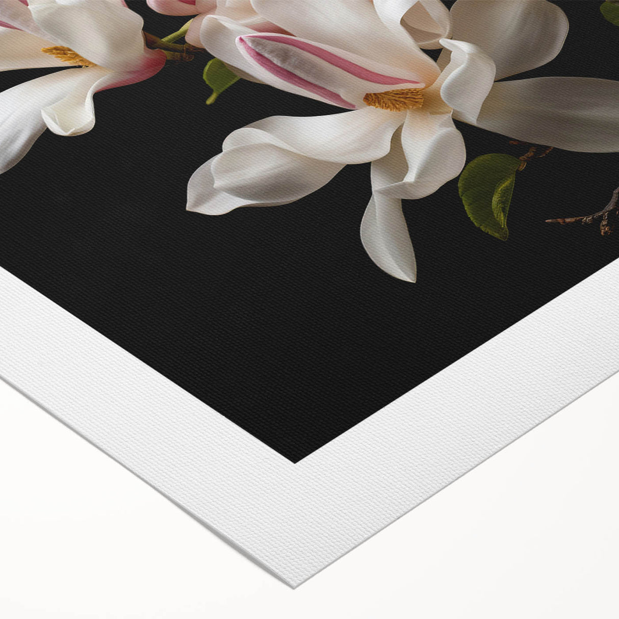 Rolled canvas artwork showcasing a detailed botanical design of magnolia flowers, featuring soft pastel colors on a textured surface, perfect for home decor.
