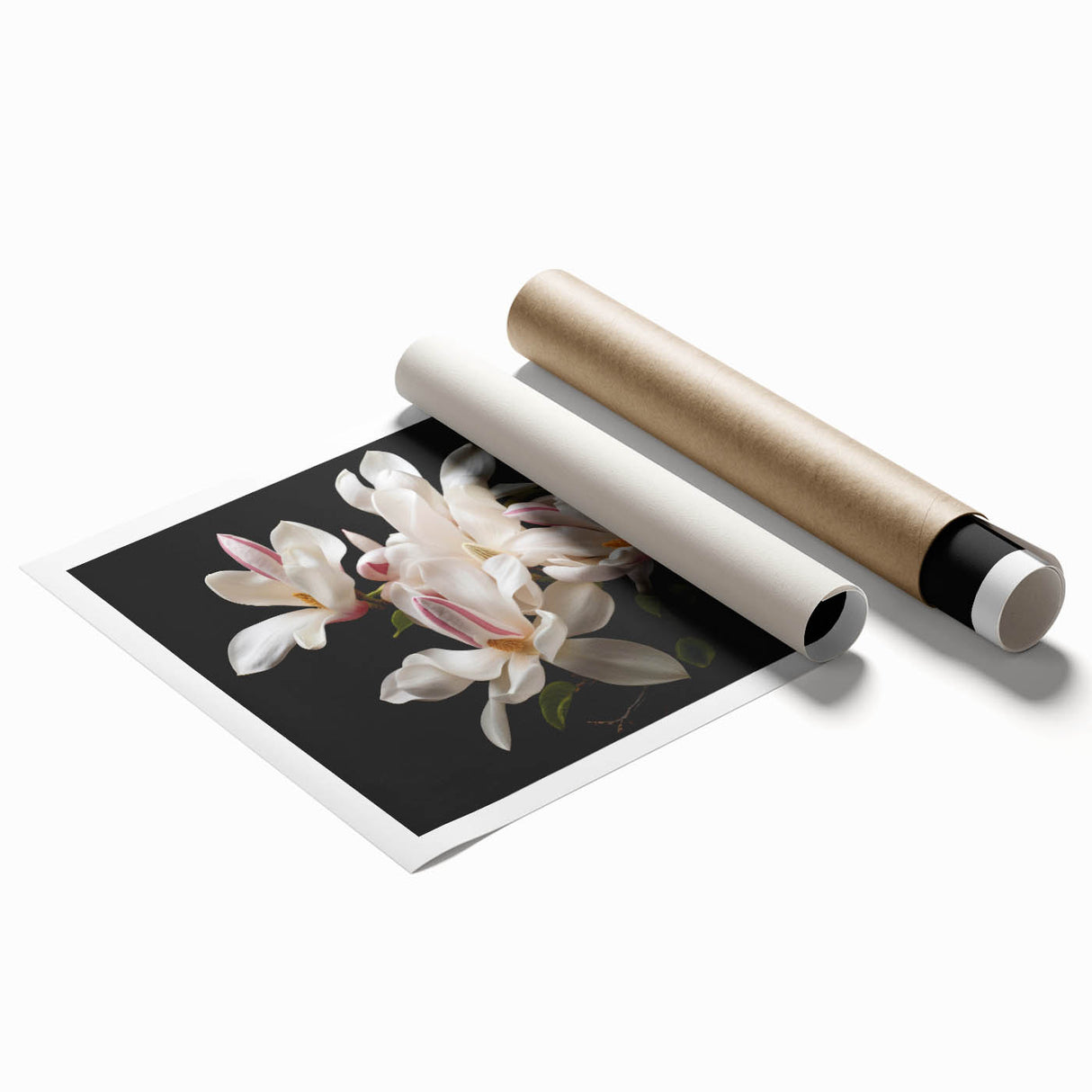 Magnolia floral wall art rolled print featuring a delicate botanical design in soft pink and green hues, ideal for home decor and enhancing interior aesthetics.