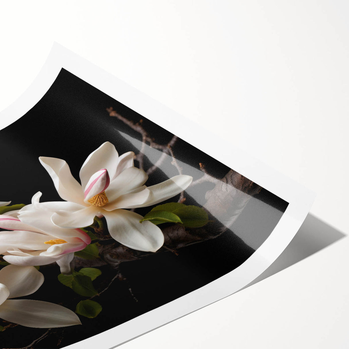 Botanical wall art print showcasing a delicate magnolia design in soft pastel colors, elegantly rolled and ready for framing, perfect for home decor enhancement.