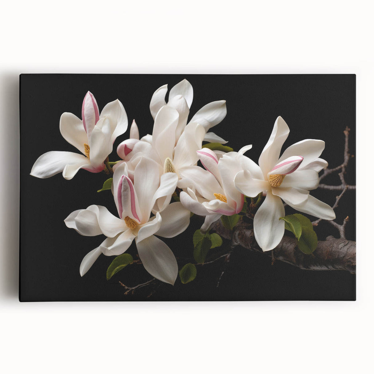 Stretched canvas artwork showcasing a botanical magnolia design, featuring soft pink and white petals against a subtle green background, ideal for home decor.