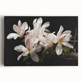 Stretched canvas artwork showcasing a botanical magnolia design, featuring soft pink and white petals against a subtle green background, ideal for home decor.