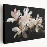 Stretched canvas wall art featuring a botanical design of magnolia flowers, showcasing vibrant colors and intricate details, perfect for home decor enhancement.