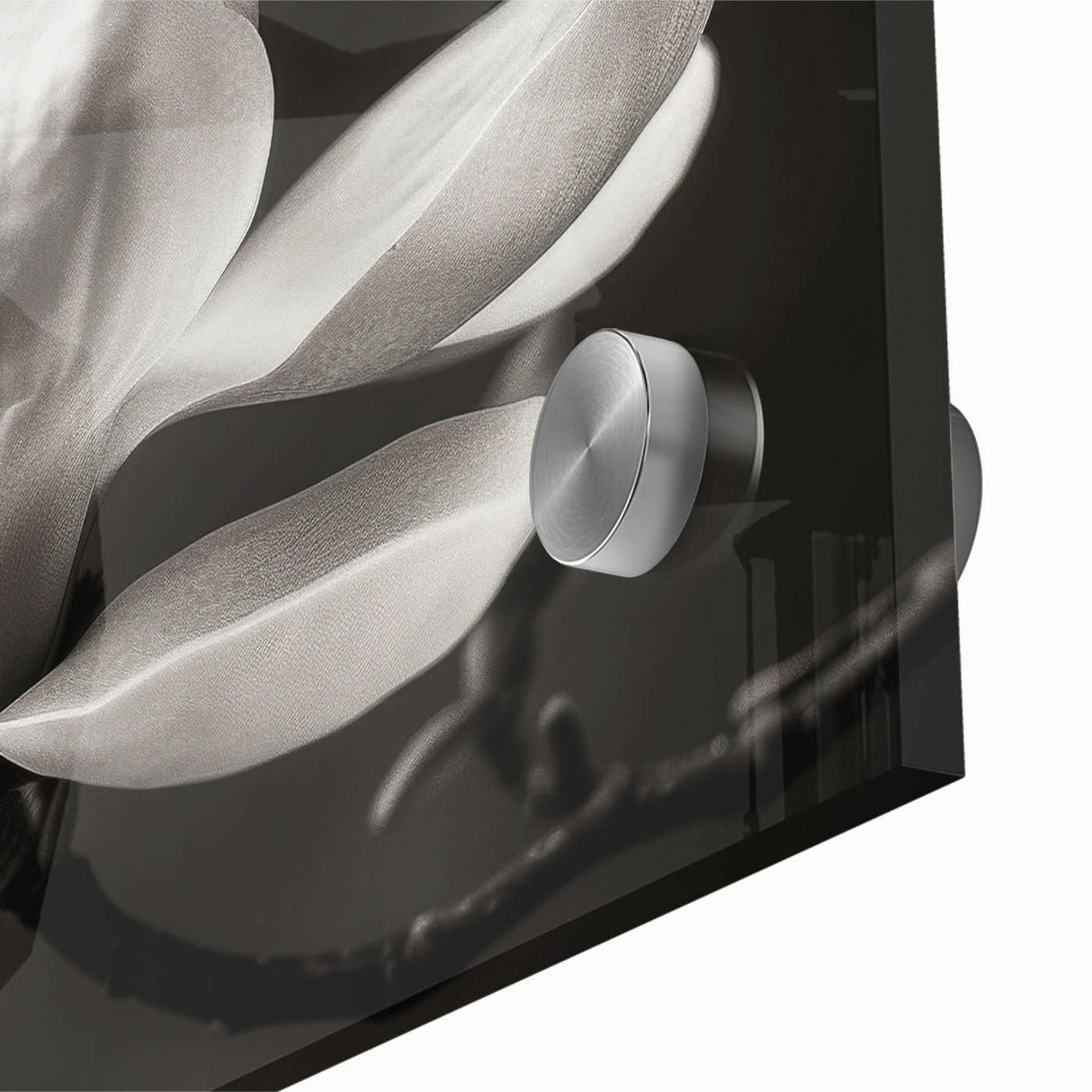 Close-up of a botanical wall art piece showcasing a magnolia flower design on acrylic glass, emphasizing vibrant colors and intricate details, perfect for home decor.