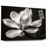 Close-up of a side view of an elegant botanical wall art collection featuring magnolia flowers, designed with acrylic glass for a modern decor aesthetic.