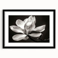 Elegant botanical wall art featuring a magnolia design, framed in black with a mat, showcasing delicate floral details ideal for home decor enhancements.