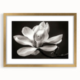 Elegant botanical wall art featuring a magnolia design, framed in gold with a white mat, perfect for enhancing home decor and adding a touch of nature.