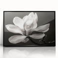 Framed wall art showcasing a botanical design of magnolia flowers in elegant black acrylic, perfect for modern home decor, adding a touch of sophistication and nature.
