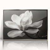 Framed wall art featuring a botanical magnolia design, showcasing delicate white flowers against a silver-accented background, perfect for elegant decor.