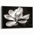 Framed canvas wall art showcasing a botanical magnolia design, featuring intricate floral details and a sleek black frame, perfect for modern home decor.