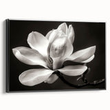 Framed canvas wall art showcasing a botanical magnolia design, featuring intricate floral details and a sleek black frame, perfect for modern home decor.