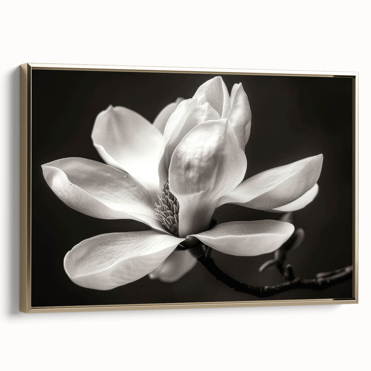 Framed canvas wall art showcasing a botanical magnolia design in soft pinks and greens, elegantly bordered with gold for a sophisticated touch, ideal for home decor.