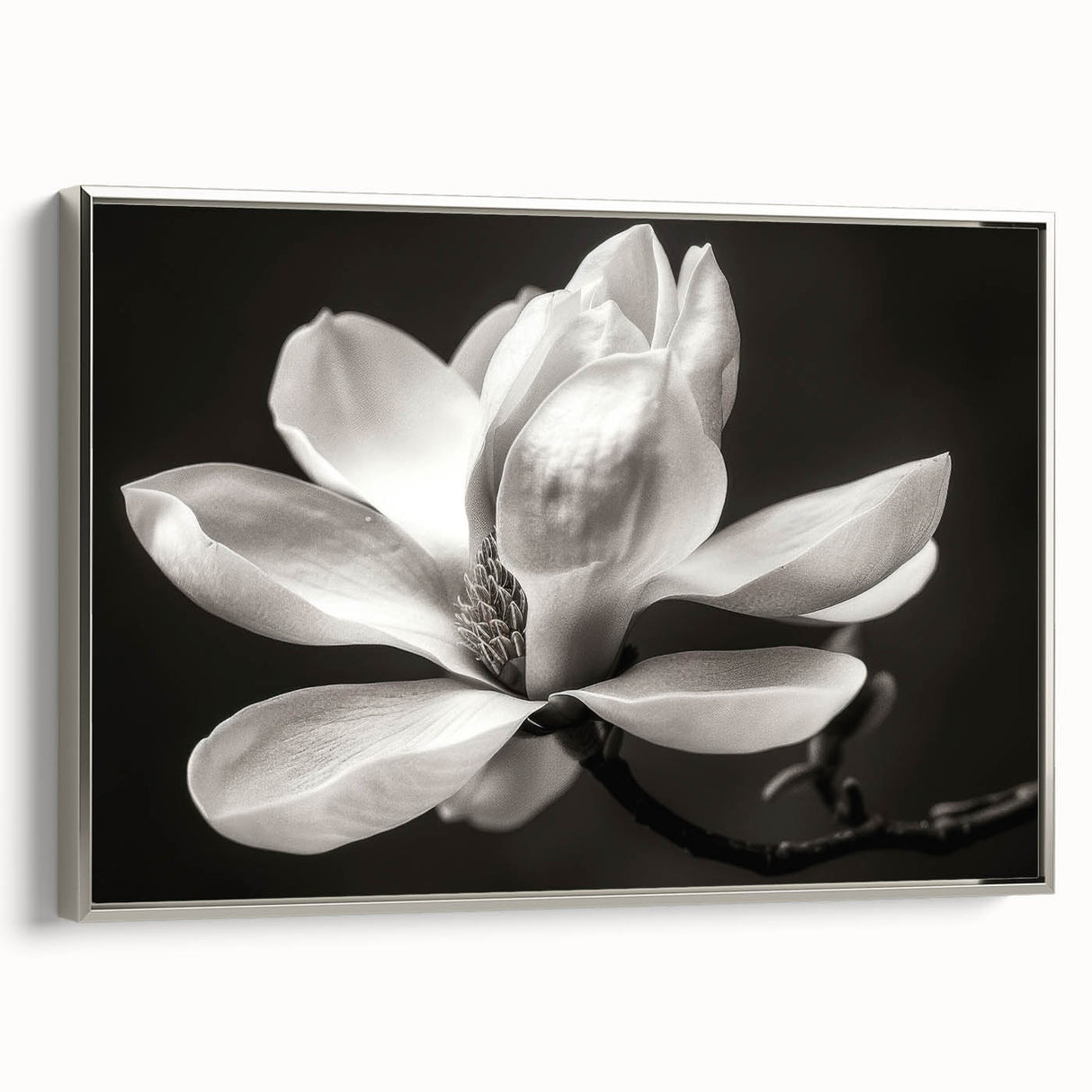 Framed botanical wall art showcasing a magnolia design in silver, highlighting intricate floral details against a textured background, perfect for home decor.