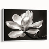 Framed canvas wall art showcasing a botanical magnolia design with delicate white flowers and green leaves, elegantly displayed from a side view, perfect for home decor.