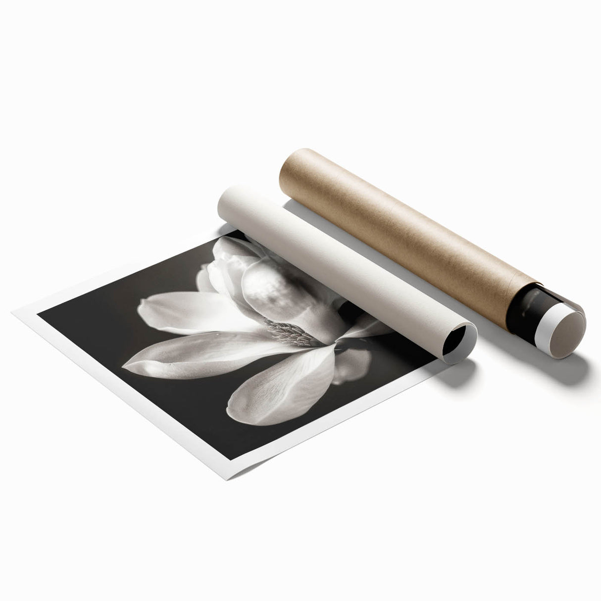 Botanical wall art featuring a detailed magnolia design in soft pastel colors, rolled for easy shipping and display, perfect for home decor enhancement.