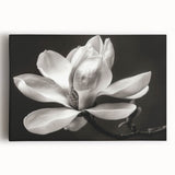 Stretched canvas wall art showcasing a beautiful botanical magnolia design, featuring soft pink and white flowers against a neutral background, perfect for home decor.
