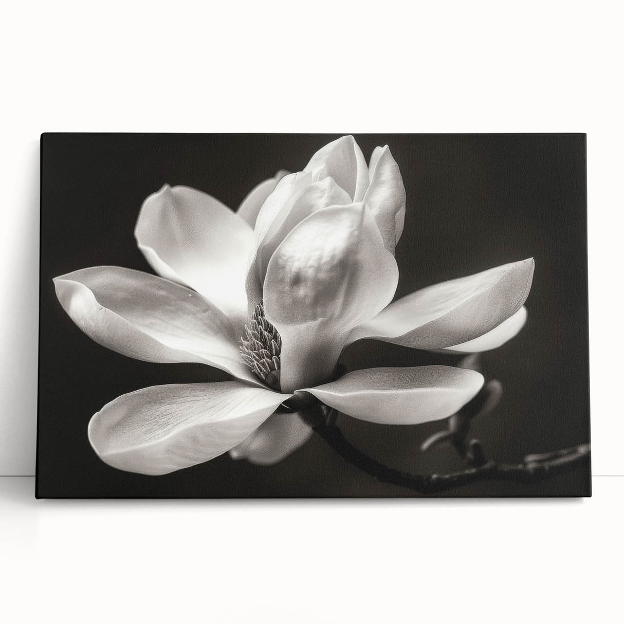 Stretched canvas featuring a botanical design of magnolia flowers in soft pastel colors, elegantly leaning against a neutral wall, perfect for home decor.