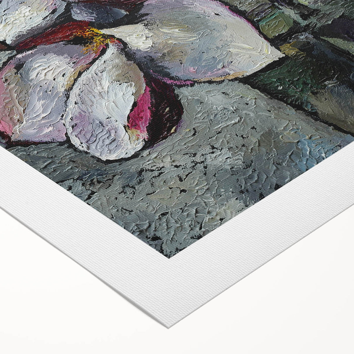 Magnolia flowers illustrated in a stunning botanical design on rolled canvas, featuring soft pink and white hues, perfect for home décor or art collection.