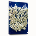 A side view of a vibrant botanical wall art collection featuring marine plants, elegantly displayed in an acrylic glass frame with visible mounting pins.