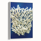 Framed wall art featuring a botanical design of marine plants in vibrant colors, showcasing intricate details and textures against a white background. Ideal for coastal decor enthusiasts, this piece adds a fresh, natural touch to any room.