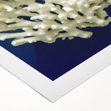 Botanical wall art showcasing a vibrant marine plants design in shades of green and blue, printed on rolled canvas for easy display and decor enhancement.
