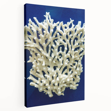 Stretched canvas wall art showcasing a vibrant botanical design of marine plants, featuring intricate details and rich colors, ideal for coastal-themed decor.
