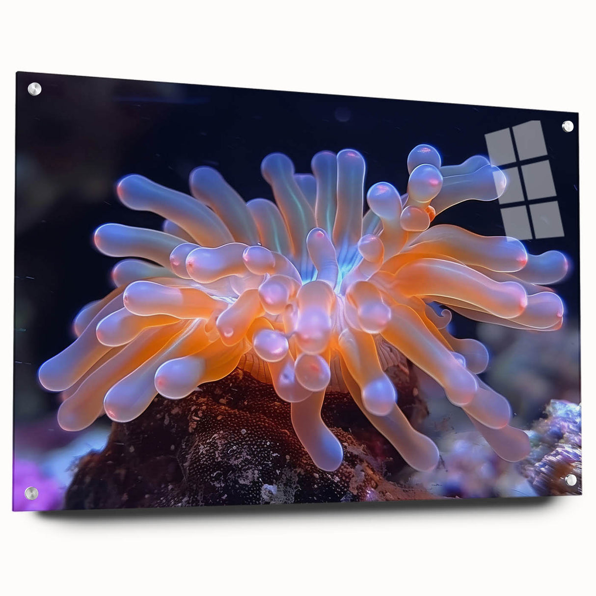 Vibrant botanical wall art design showcasing marine plants in an elegant acrylic glass frame, featuring a side view with decorative pins, ideal for home decor.