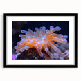 Framed botanical wall art showcasing vibrant marine plants in a black frame with a mat, perfect for adding a touch of nature to home decor.