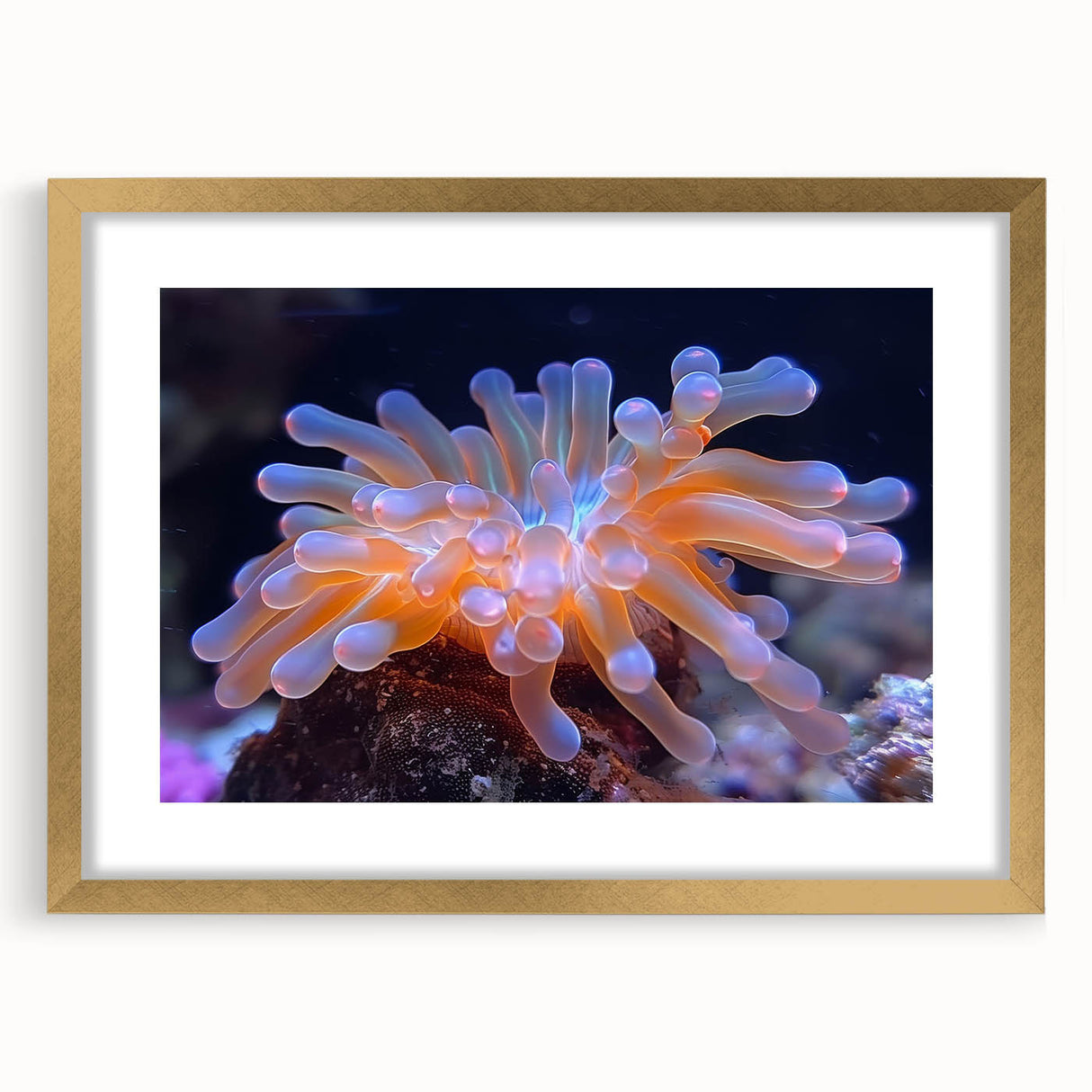 Botanical marine plants wall art framed in gold, showcasing vibrant floral designs with intricate details, perfect for home decor and coastal themes.