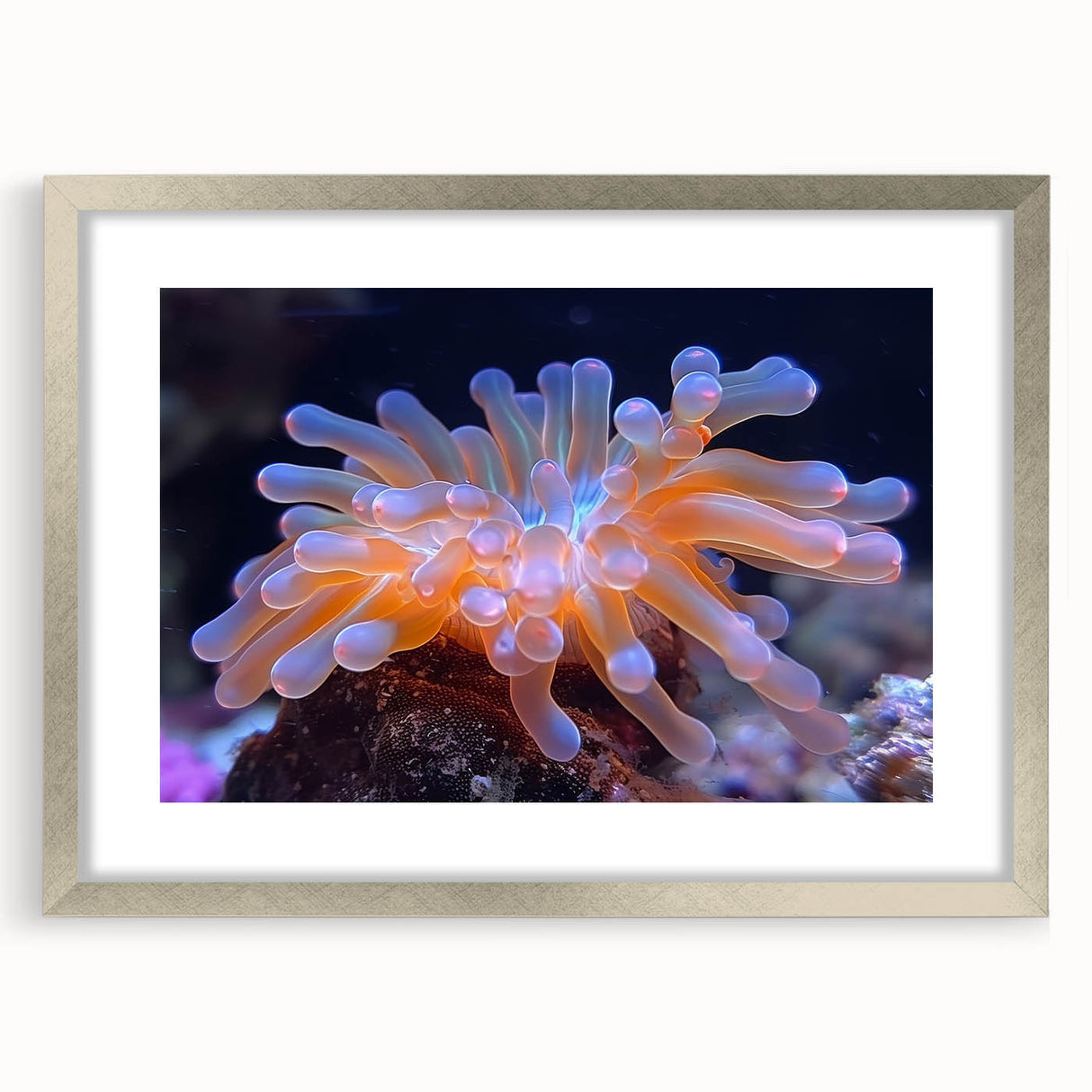 Botanical wall art featuring a collection of marine plants in a stylish silver frame with a mat, ideal for enhancing home decor with natural elegance.