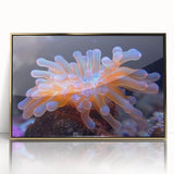 Framed wall art featuring a botanical design of marine plants in vibrant colors, set in a gold-accented frame, ideal for home decor enthusiasts.