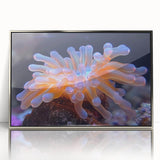 Framed wall art featuring a vibrant botanical design of marine plants, set in a sleek silver frame, perfect for enhancing coastal-themed decor.